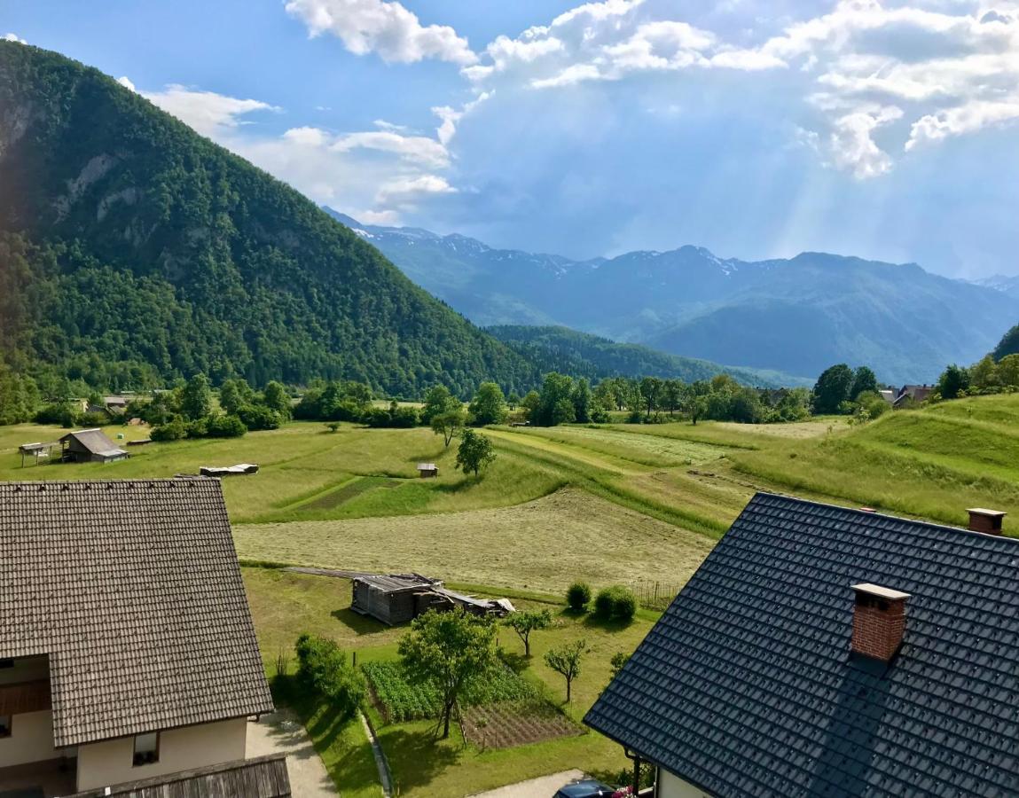 Apartmaji Mojca * Bohinj