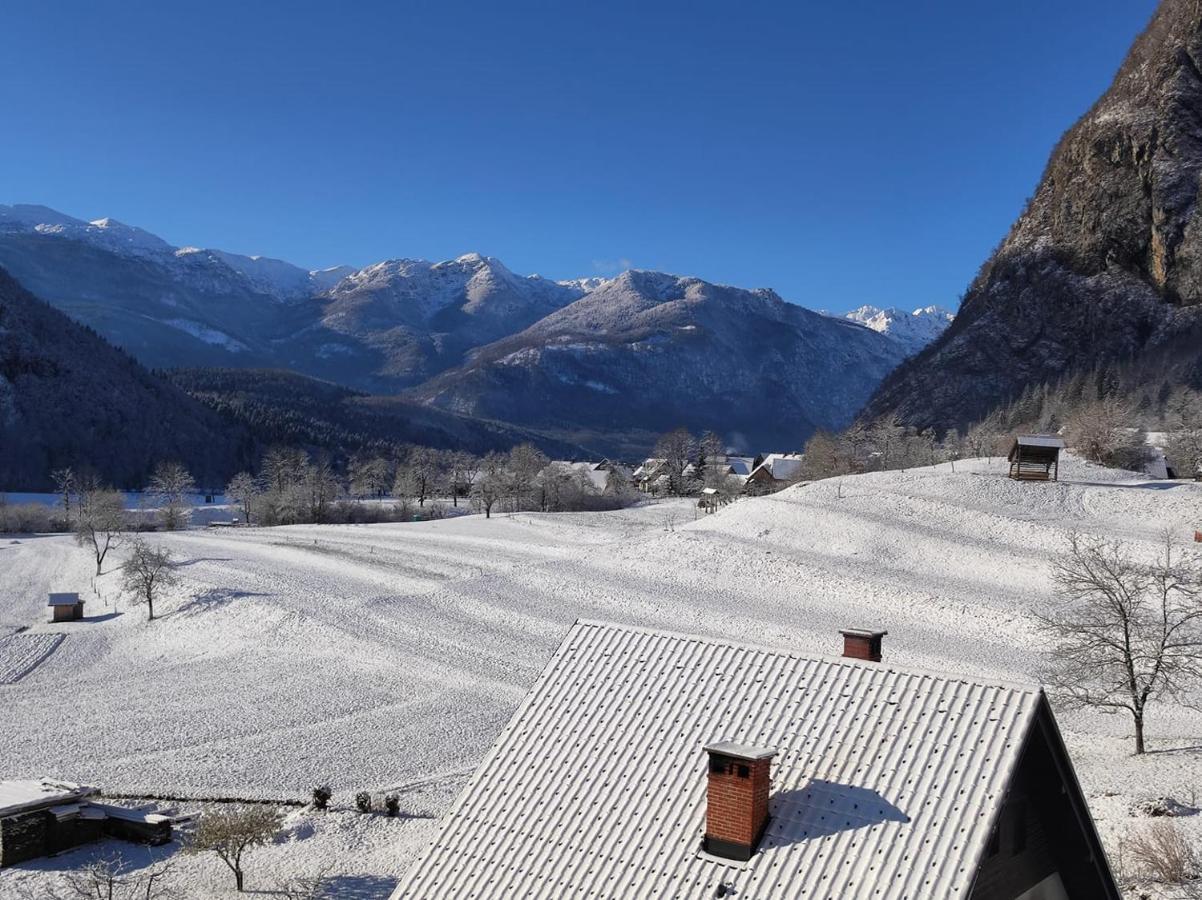 Apartmaji Mojca Appartamento *