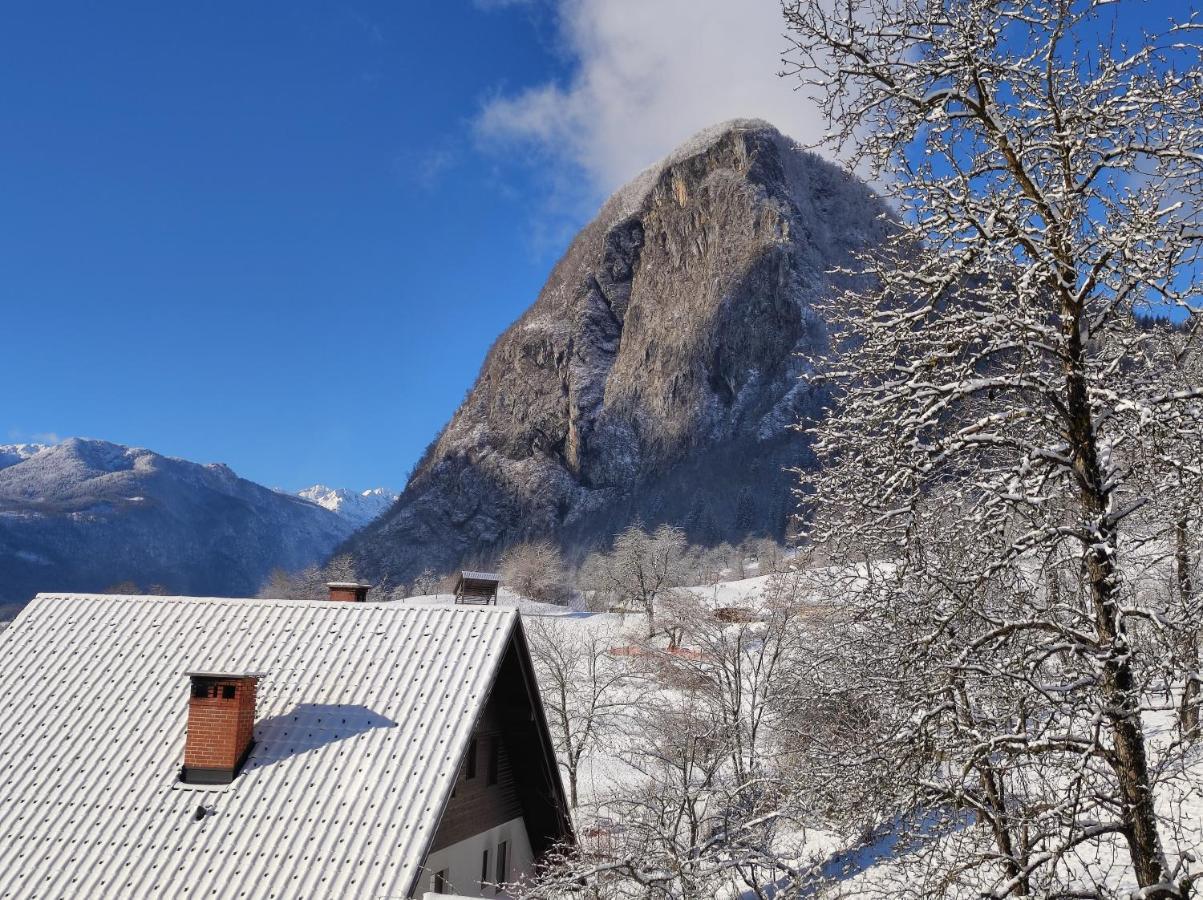 Appartamento Apartmaji Mojca Bohinj
