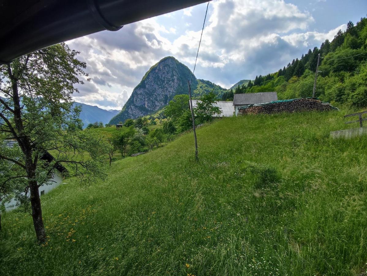 Apartmaji Mojca *