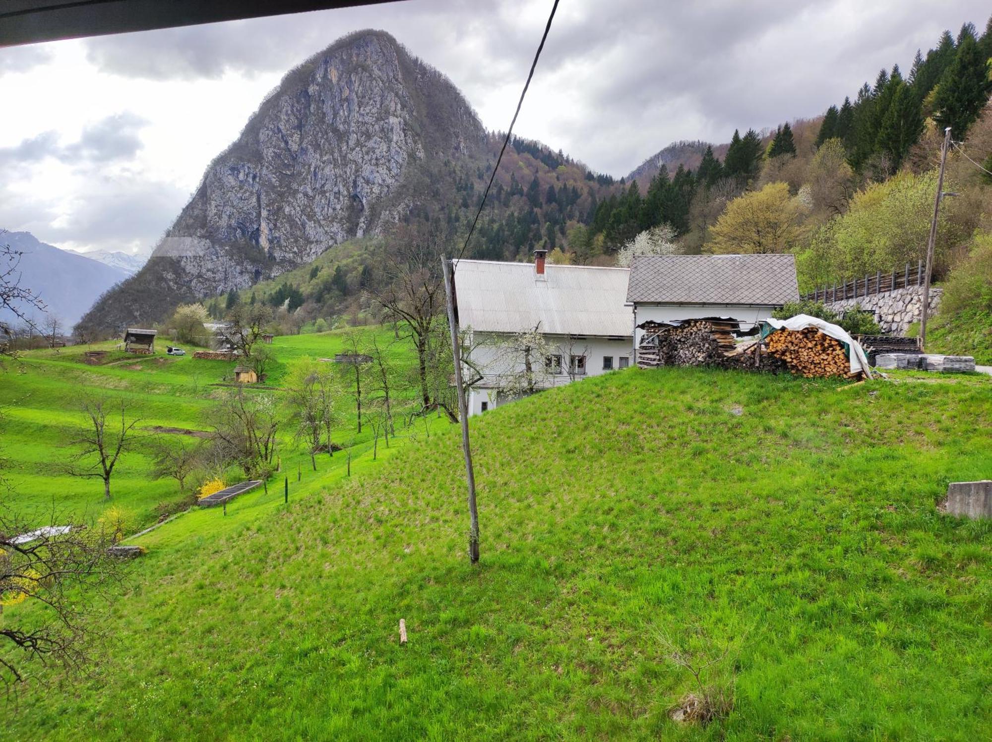 Apartmaji Mojca